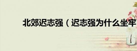 北郊迟志强（迟志强为什么坐牢）