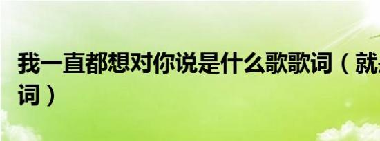 我一直都想对你说是什么歌歌词（就是爱你歌词）