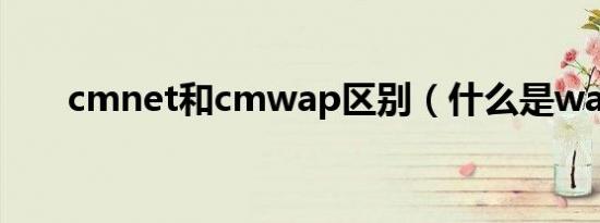 cmnet和cmwap区别（什么是wap）