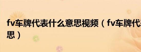 fv车牌代表什么意思视频（fv车牌代表什么意思）