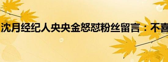 沈月经纪人央央金怒怼粉丝留言：不喜欢请滚