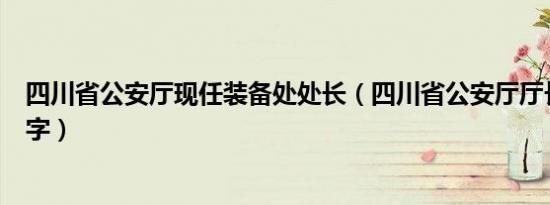 四川省公安厅现任装备处处长（四川省公安厅厅长叫什么名字）