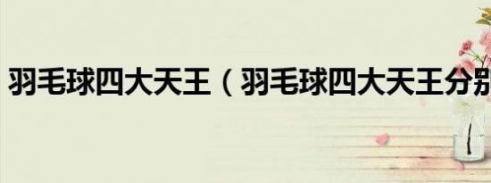 羽毛球四大天王（羽毛球四大天王分别是谁）
