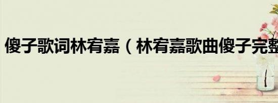 傻子歌词林宥嘉（林宥嘉歌曲傻子完整歌词）