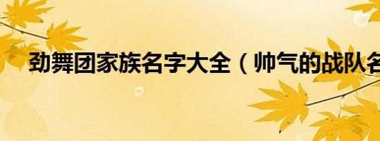 劲舞团家族名字大全（帅气的战队名字）