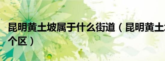昆明黄土坡属于什么街道（昆明黄土坡属于哪个区）