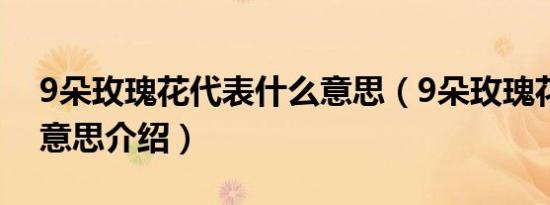9朵玫瑰花代表什么意思（9朵玫瑰花代表的意思介绍）