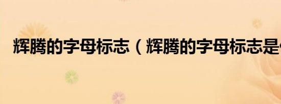 辉腾的字母标志（辉腾的字母标志是什么）