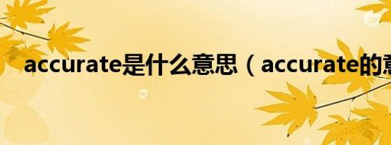 accurate是什么意思（accurate的意思）