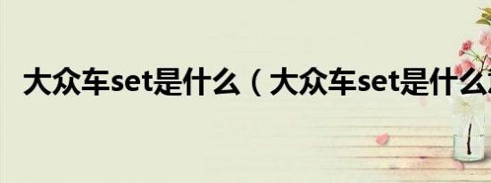 大众车set是什么（大众车set是什么意思）