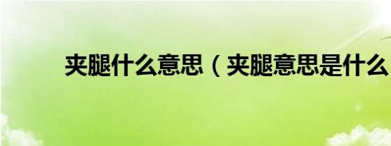 夹腿什么意思（夹腿意思是什么）