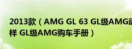 2013款（AMG GL 63 GL级AMG动力怎么样 GL级AMG购车手册）
