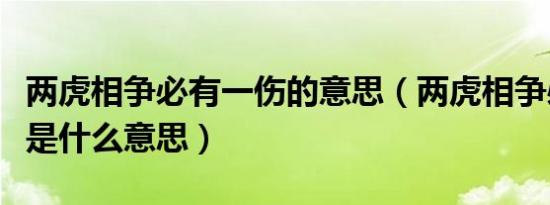 两虎相争必有一伤的意思（两虎相争必有一伤是什么意思）