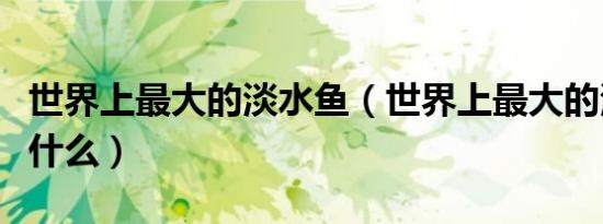 世界上最大的淡水鱼（世界上最大的淡水鱼是什么）
