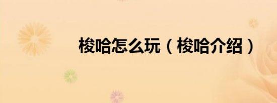 梭哈怎么玩（梭哈介绍）