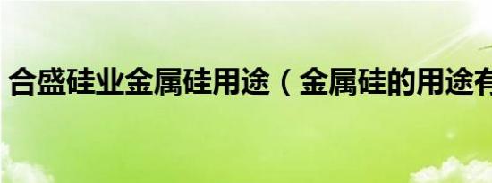 合盛硅业金属硅用途（金属硅的用途有哪些）