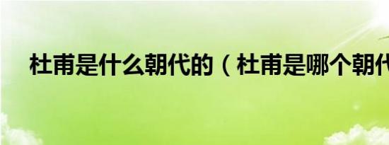 杜甫是什么朝代的（杜甫是哪个朝代的）