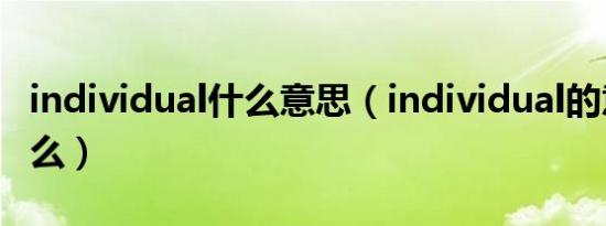 individual什么意思（individual的意思是什么）