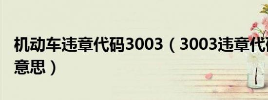 机动车违章代码3003（3003违章代码是什么意思）