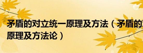 矛盾的对立统一原理及方法（矛盾的对立统一原理及方法论）