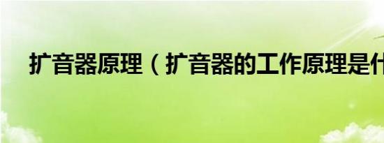 扩音器原理（扩音器的工作原理是什么）