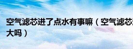 空气滤芯进了点水有事嘛（空气滤芯进水问题大吗）