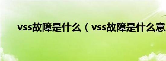 vss故障是什么（vss故障是什么意思）