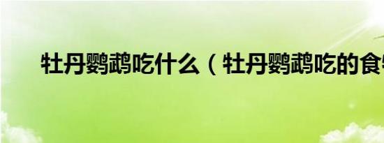 牡丹鹦鹉吃什么（牡丹鹦鹉吃的食物）