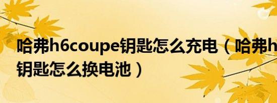哈弗h6coupe钥匙怎么充电（哈弗h6coupe钥匙怎么换电池）