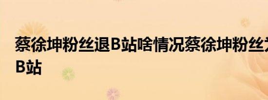 蔡徐坤粉丝退B站啥情况蔡徐坤粉丝为什么退B站