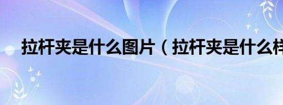 拉杆夹是什么图片（拉杆夹是什么样的）