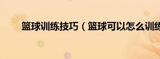 篮球训练技巧（篮球可以怎么训练）