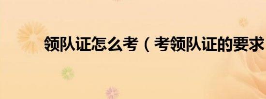 领队证怎么考（考领队证的要求）