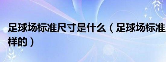 足球场标准尺寸是什么（足球场标准尺寸是怎样的）
