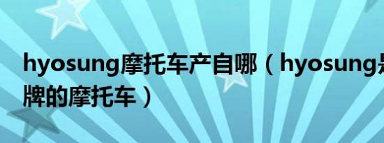 hyosung摩托车产自哪（hyosung是什么品牌的摩托车）