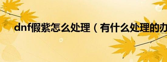 dnf假紫怎么处理（有什么处理的办法）