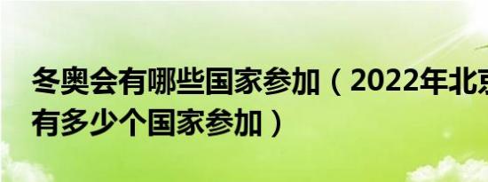 冬奥会有哪些国家参加（2022年北京冬奥会有多少个国家参加）