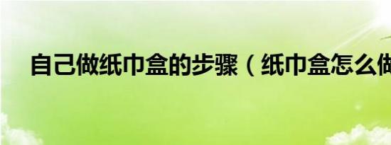 自己做纸巾盒的步骤（纸巾盒怎么做呢）