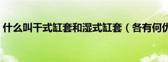 什么叫干式缸套和湿式缸套（各有何优缺点）