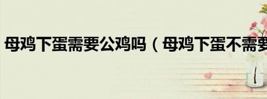 母鸡下蛋需要公鸡吗（母鸡下蛋不需要公鸡）