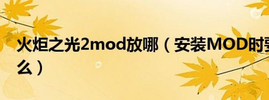 火炬之光2mod放哪（安装MOD时要注意什么）