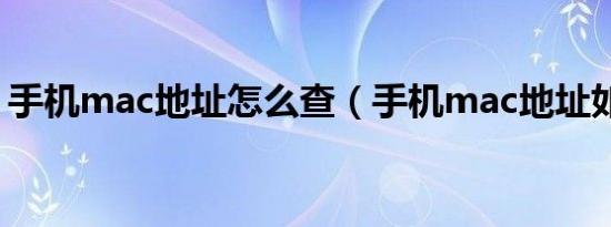 手机mac地址怎么查（手机mac地址如何查）