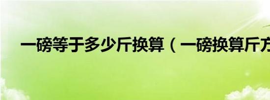 一磅等于多少斤换算（一磅换算斤方法）