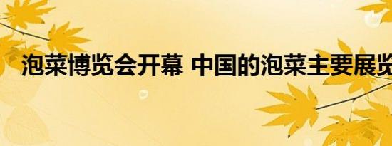 泡菜博览会开幕 中国的泡菜主要展览什么