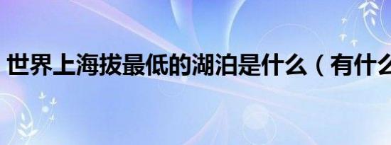 世界上海拔最低的湖泊是什么（有什么特点）