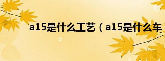 a15是什么工艺（a15是什么车）