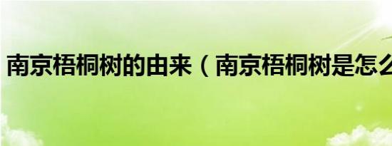 南京梧桐树的由来（南京梧桐树是怎么来的）