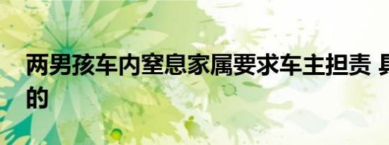 两男孩车内窒息家属要求车主担责 具体怎样的