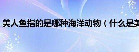 美人鱼指的是哪种海洋动物（什么是美人鱼）