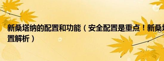 新桑塔纳的配置和功能（安全配置是重点！新桑塔纳选装配置解析）
